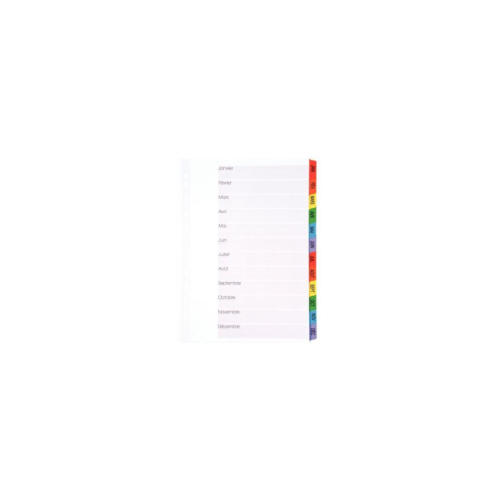 Intercalaires carte A4 12 touches mensuelles 160g Index Coul. //