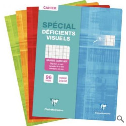 Cahier 24x32  2.5mm agrandi Séyès 96 p Piqûre 90g **