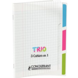 Cahier   3 Onglets 17x22cm Séyès 96 p Polypro