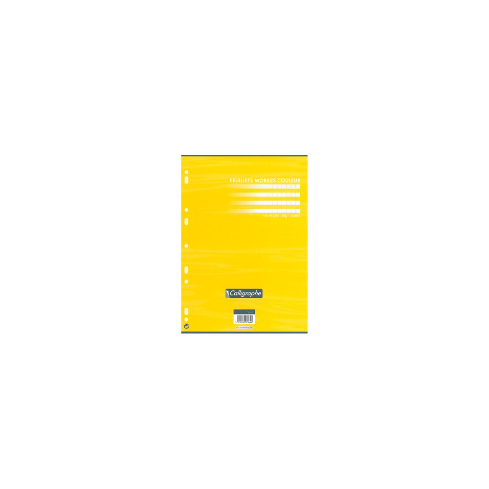 Feuillets mobiles - 80gr - A4 - Séyès - 100 pages BLANC CLAIREFONT.