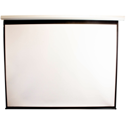 Ecran de projection mural electrique 150" (300x220xm) //