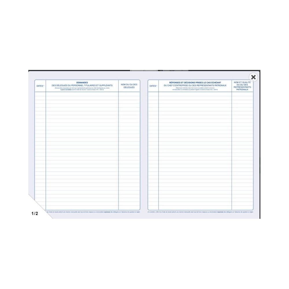 Registre Délégués du Personnel ELVE - 32 x 24cm - 40 pages - Z