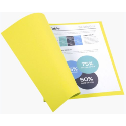 Chemise 24 x 32cm 170g par 100 JAUNE FOREVER - Z