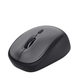 Souris sans fil - YVI + ECP - droitier Noir **