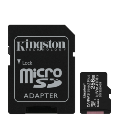 Carte mémoire MicroSDHC 256Go - Classe 10 - KINGSTON + Adapt SDCS2