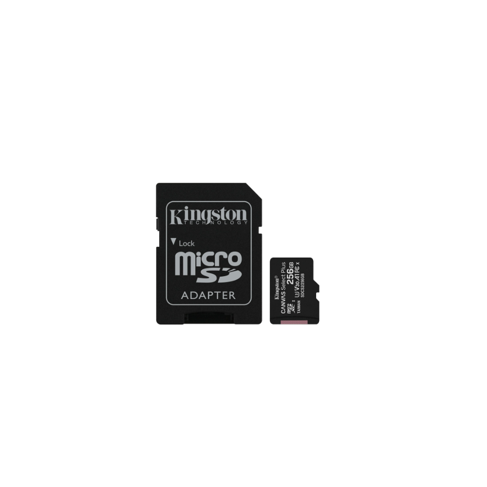 Carte mémoire MicroSDHC 256Go - Classe 10 - KINGSTON + Adapt SDCS2