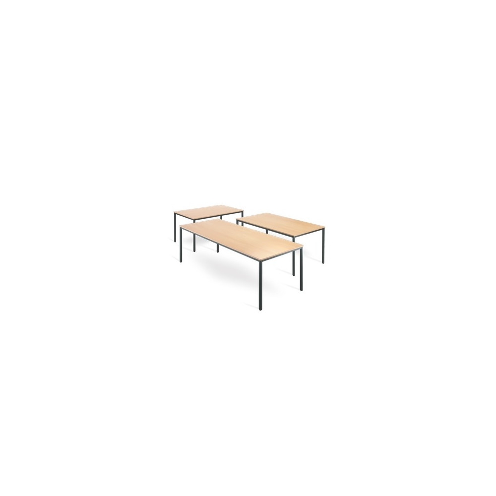 Table poly. rectangulaire 200 x 100 - Plateau Hêtre - Pieds Alu. - T6