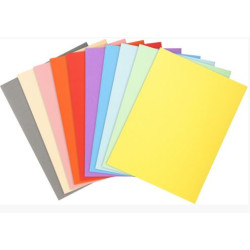 Chemise 24 x 32cm 170g EXACOMPTA par 100 COULEURS ASS. Pastel 