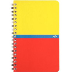 Carnet 11x17cm 5 x 5 100 p Spirale 70g //