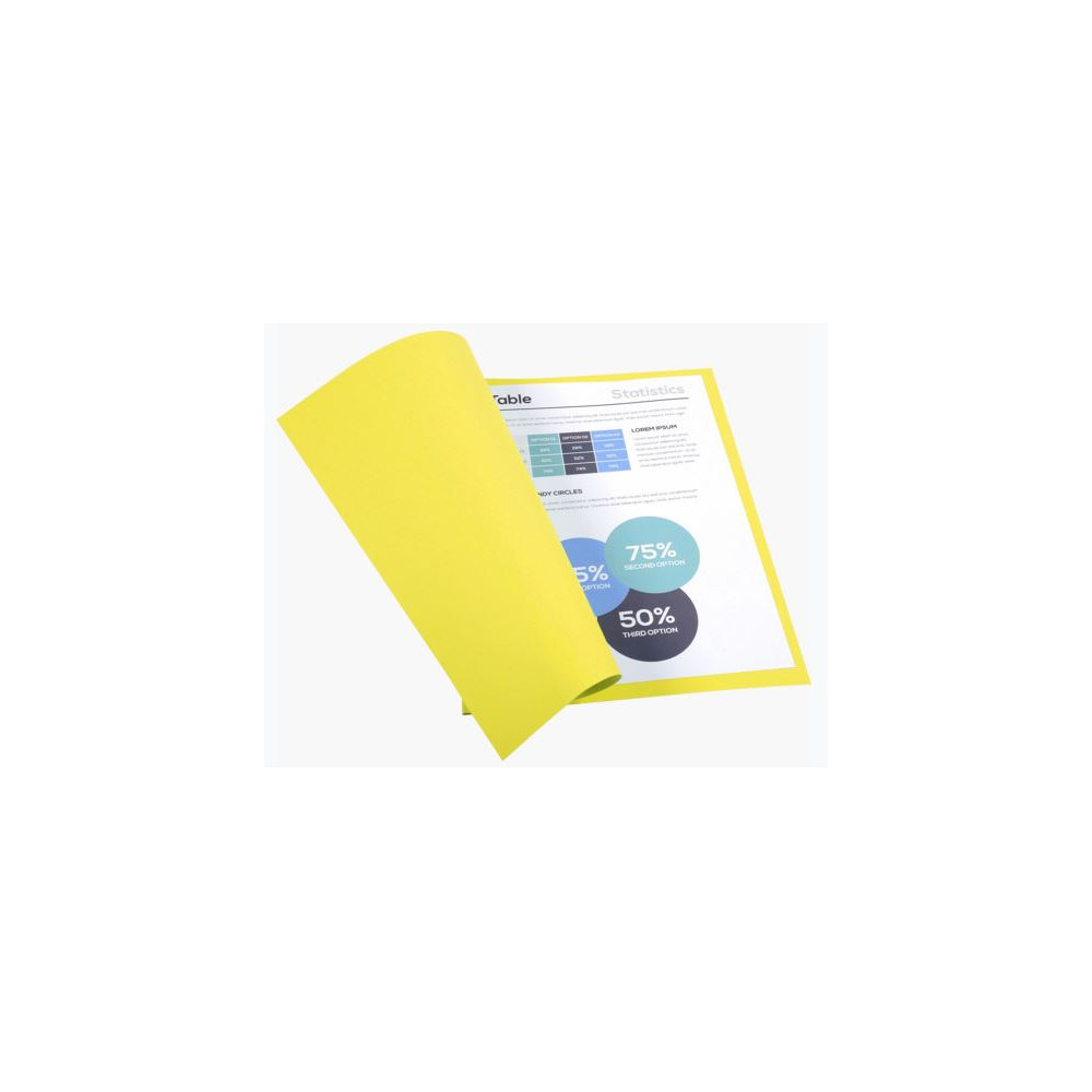 Chemise 24 x 32cm 170g EXACOMPTA par 100 JAUNE CANARI Pastel - Z