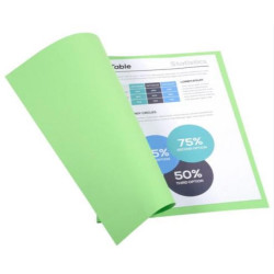 Chemise 24 x 32cm 220g EXACOMPTA par 100 VERT TILLEUL Pastel  //