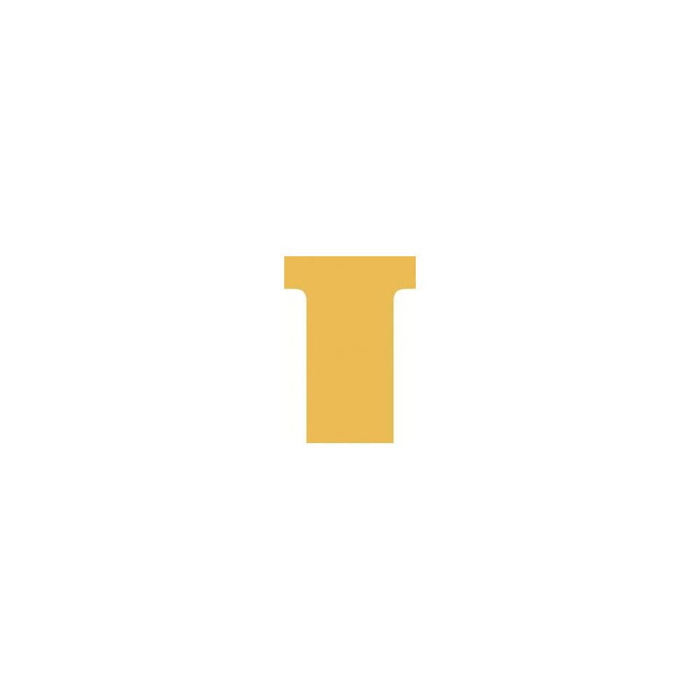 Fiche en T - Indice 2 - 170g - Par 100 - ORANGE //