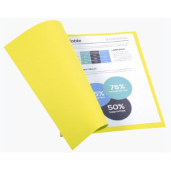 Chemise 24 x 32cm 170g EXACOMPTA par 100 JAUNE CANARI Pastel - Z