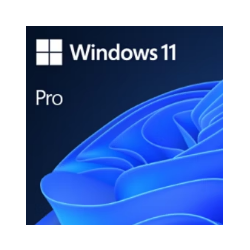 MICROSOFT Windows 11 Pro - W11P - OEM