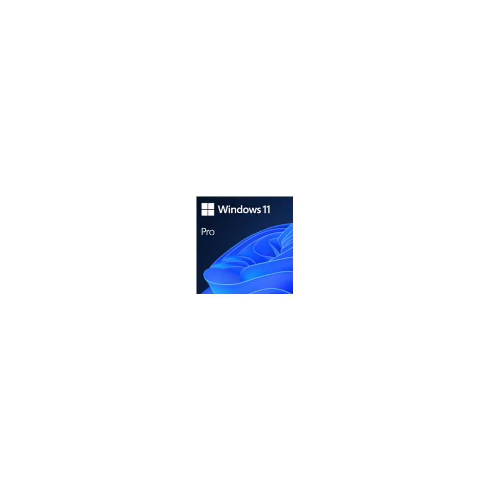 MICROSOFT Windows 11 Pro - W11P - OEM