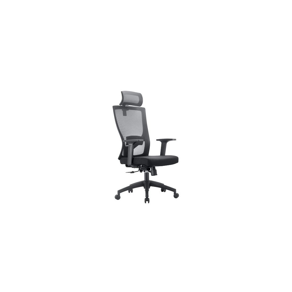 Fauteuil SAM Tétiêre + Accoudoirs Coloris Noir-Embase Chrome