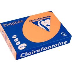 Rame A3 - 160g - Clémentine CLAIREFONTAINE (250 f.) - Ref: 1067C