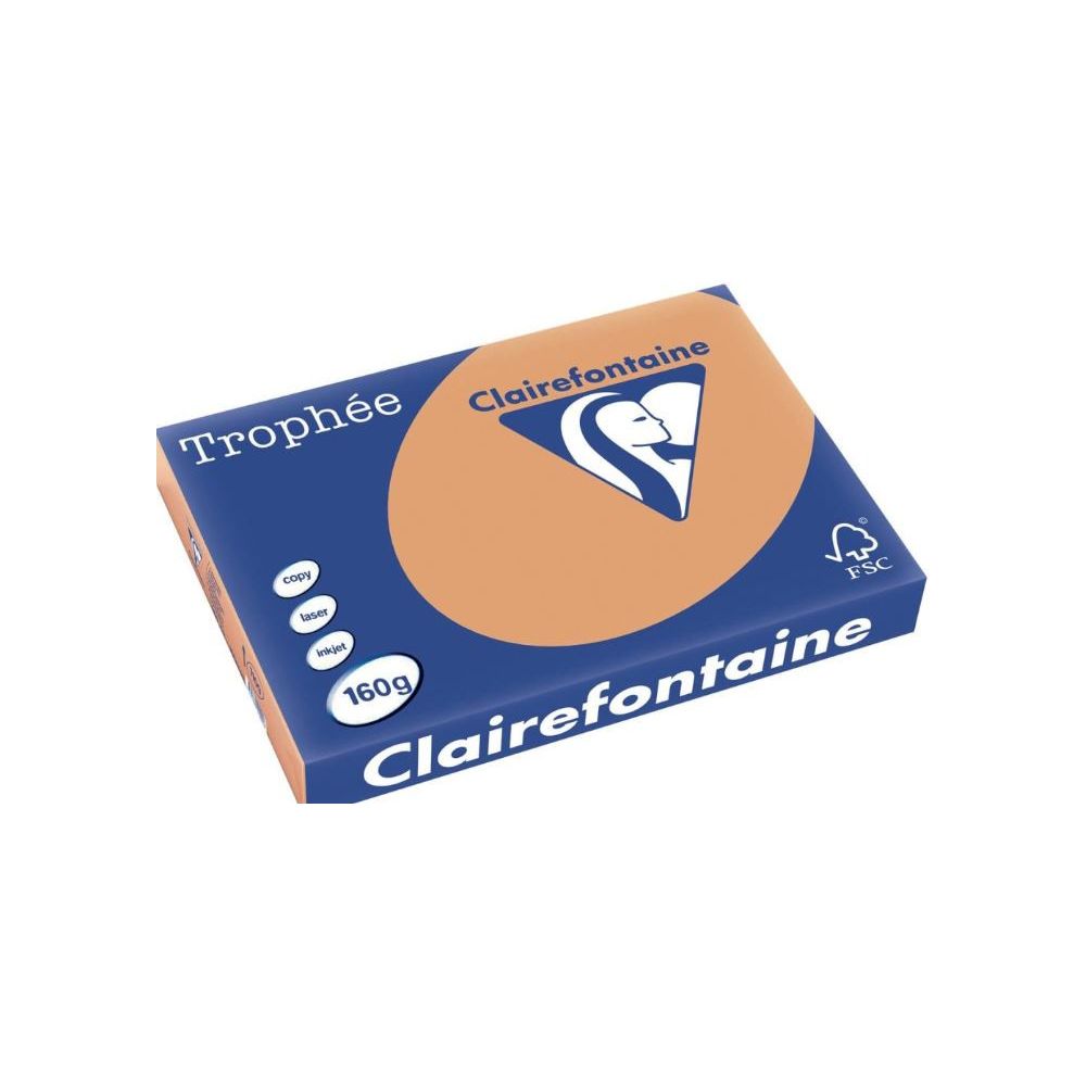 Rame A3 - 160g - Caramel CLAIREFONTAINE (250 f.) - Ref:1109
