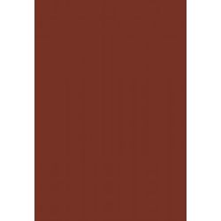 Feuille Pollen  A4 - 160g CACAO (Paquet de 50) CLAIREFONTAINE** Z