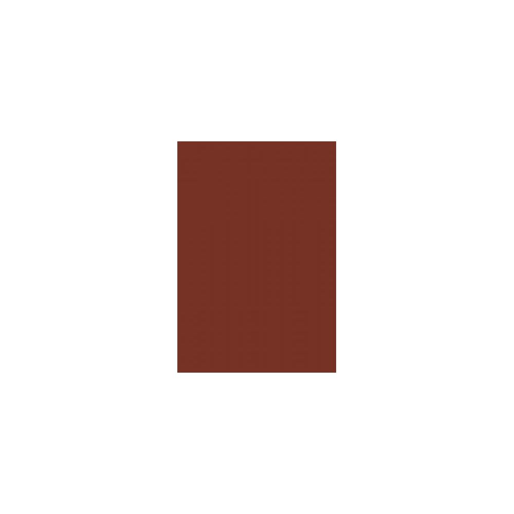 Feuille Pollen  A4 - 160g CACAO (Paquet de 50) CLAIREFONTAINE** Z
