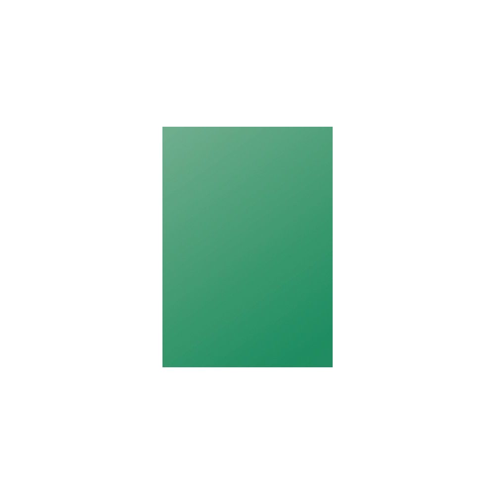 Feuille Pollen  A4 - 160g VERT SAPIN (Paquet de 50) CLAIREFONTAINE