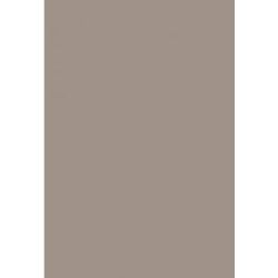 Feuille Pollen  A4 - 160g GRIS ACIER (Paquet de 50) CLAIREFONTAINE** 