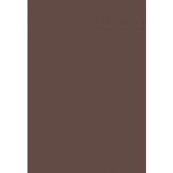 Feuille Pollen  A4 - 160g MARRON TAUPE (Paquet de 50) CLAIREFONTAINE