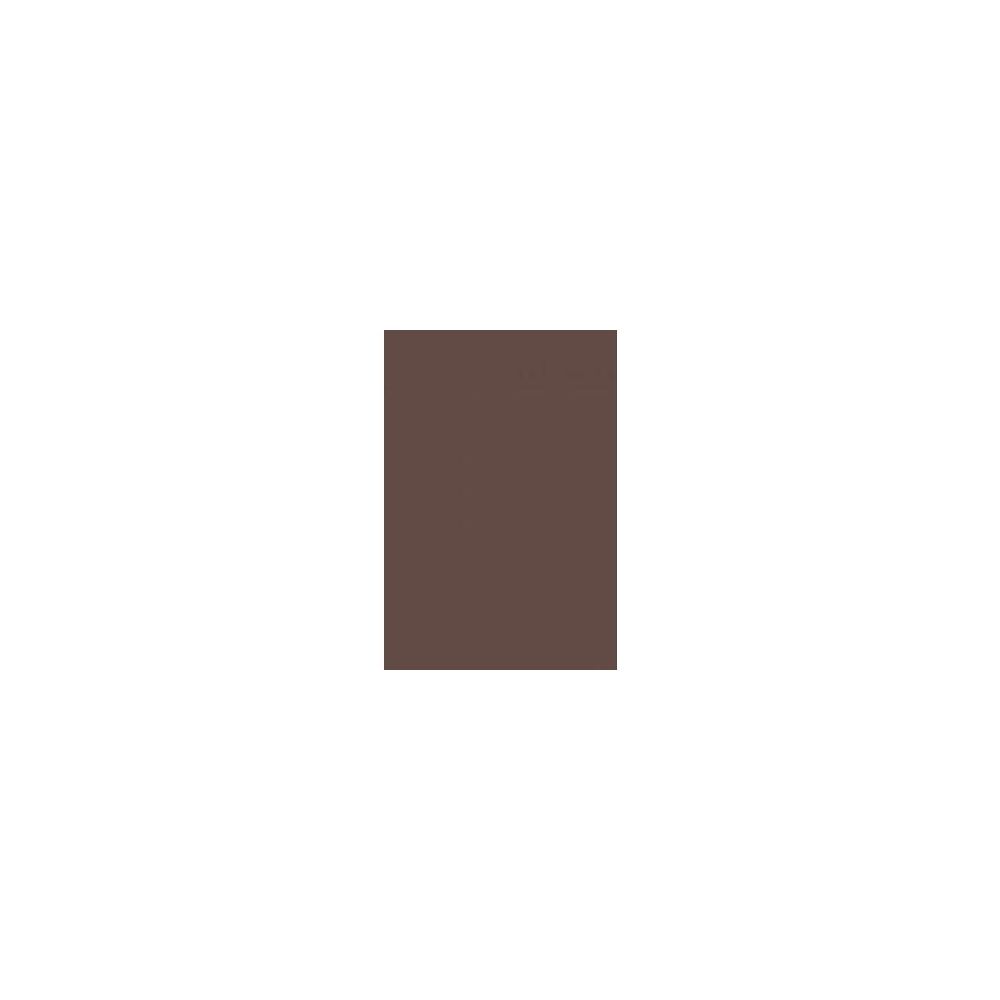 Feuille Pollen  A4 - 160g MARRON TAUPE (Paquet de 50) CLAIREFONTAINE