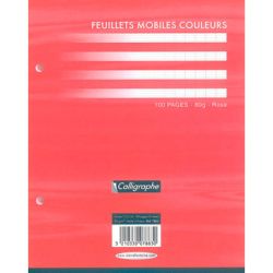 Feuillets mobiles - 90gr - 17x22cm Séyès 100 pages BLANC CLAIREFONT.