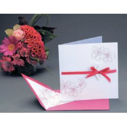 Carte double rainée - Framboises - 160 x 160mm - 210g (Pqt de 10)**