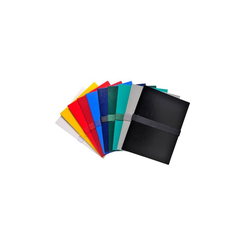 Chemise extensible CARTON sangle velcro EXACOMPTA  24x32cm VERT FON