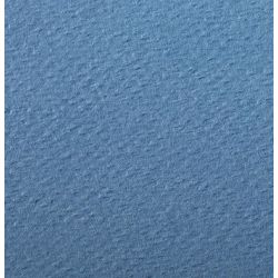 Feuille dessin 50x65cm 160g BLEU CLAIR (la feuille) CLAIREFONTAINE**