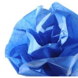Papier soie en rouleau CANSON 20g - 0.5 x 5m - BLEU