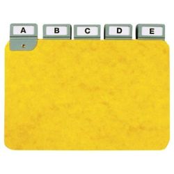 Intercalaires carte horizontales pour boite à fiche A6 (par 25)**