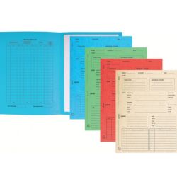 Chemise 24 x 32cm AVOCATS 265g EXCOMPTA par 25 ASSORTIES