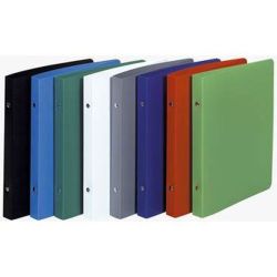Classeur 2 ann. - Fiches Bristol 12.5x20cm - Carton  40mm - VERT**