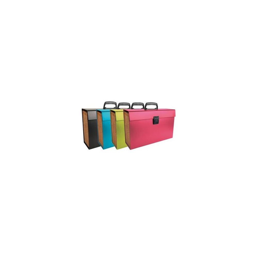 Trieur Valisette Poignée+Rabat 34x29cm - 20 compart ASS. - EXACOMPTA