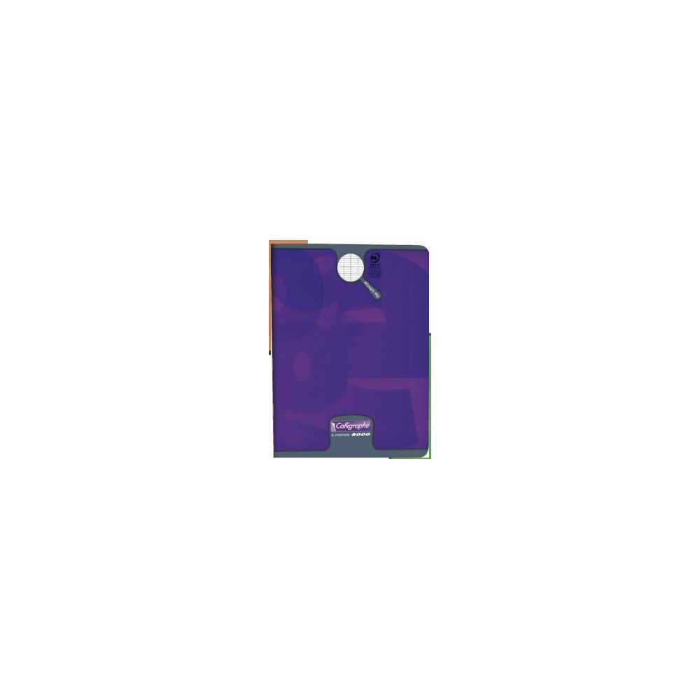 Cahier 24x32cm Séyès 96 p Piqûre 90g 108793 CLAIREFONTAINE