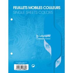 Feuillets mobiles - 80gr - 17x22cm Séyès 100 pages BLEU CLAIREFONTA