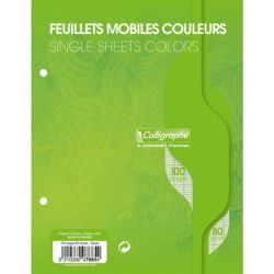 Feuillets mobiles - 80gr - 17x22cm Séyès 100 pages VERT CLAIREFONTA