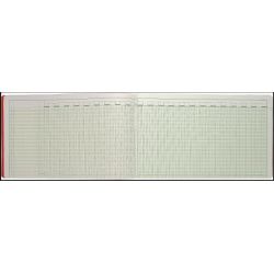 Registre à tête paress. EXACOMPTA - 32 x 55cm - 44 col.- 80 p  8440E
