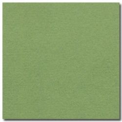 Feuille dessin 50x65cm 160g VERT POMME (la feuille) CLAIREFONTAINE