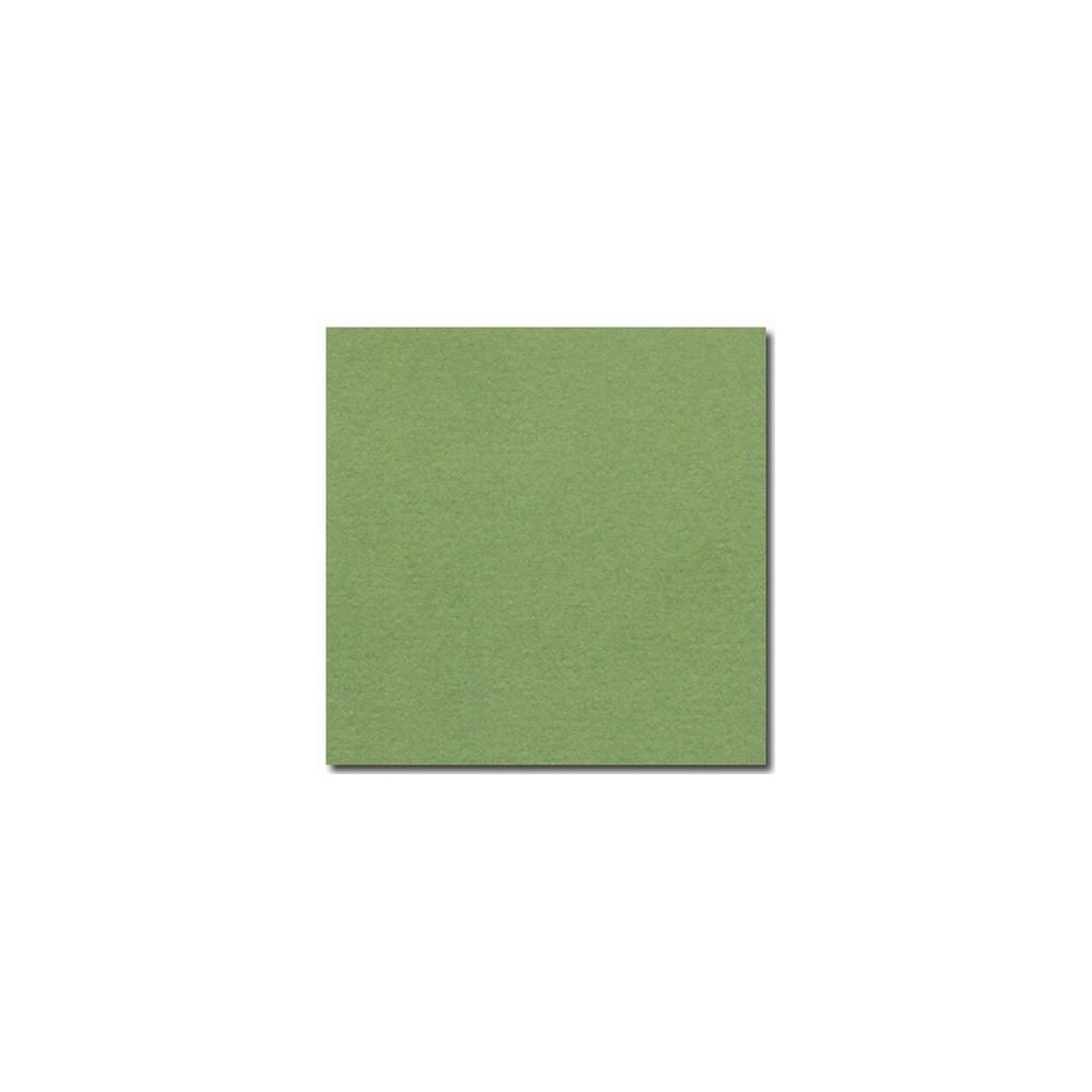 Feuille dessin 50x65cm 160g VERT POMME (la feuille) CLAIREFONTAINE