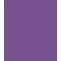 Papier kraft en rouleau  65g 0.7 x 3m VIOLET CLAIREFONTAINE