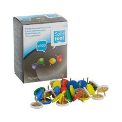 Punaises multicolores (Boîte de 100) 