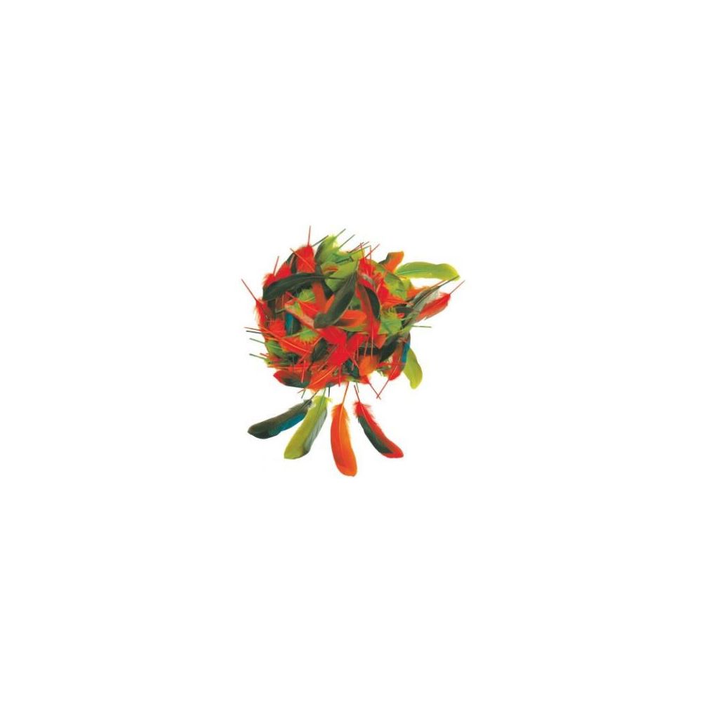 Plumes d'automne - Environ 80 plumes (Sachet de 15gr)