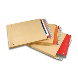 GPV France 4971 enveloppe Marron 250 pièce(s)