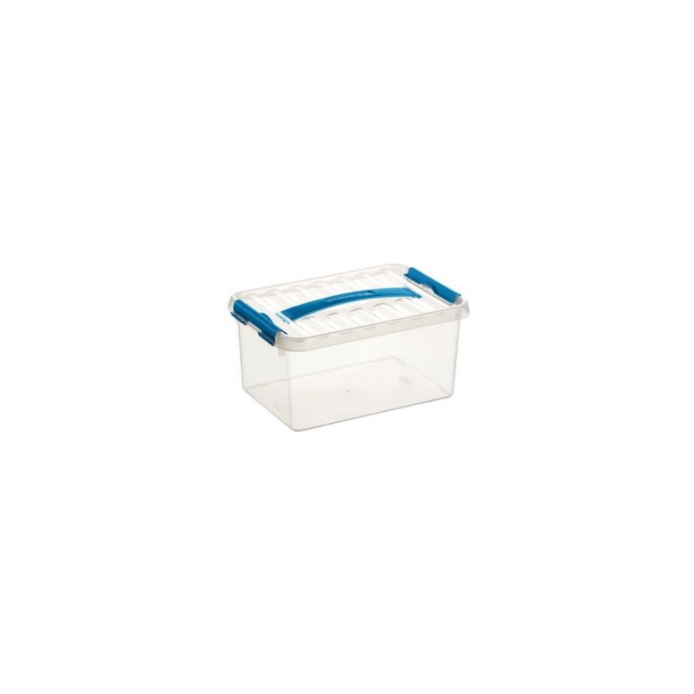 Bac de rangement + couvercle L.30 x l.20 x H.14cm Transparent   6L